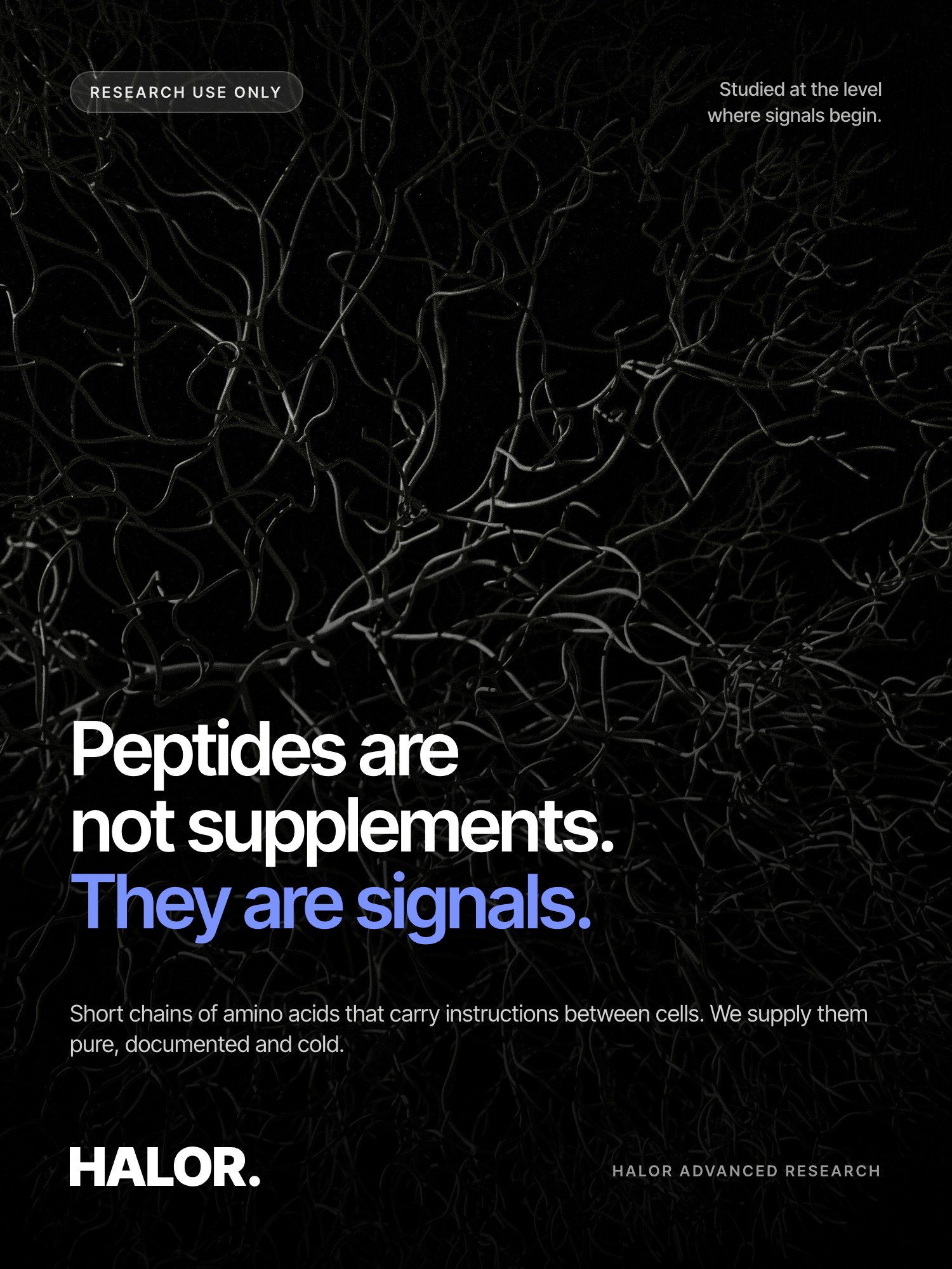 Peptides are not supplements. They are signals
